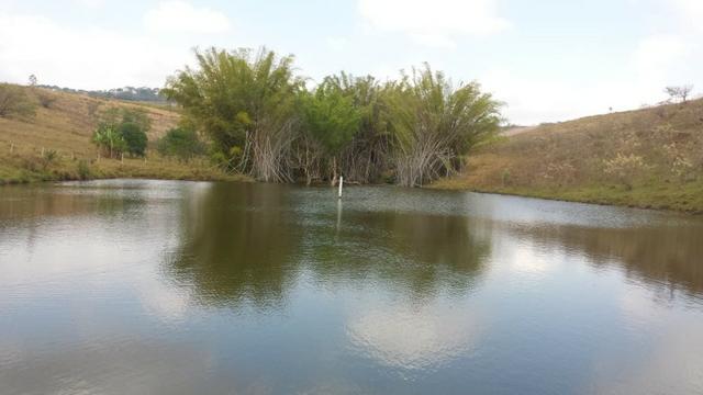 Excelente sítio de 8,64 hectare em Ponto Chic (Patos de Minas/MG) - Foto 6