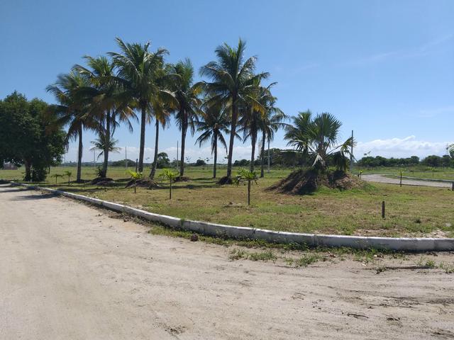Cód 35 Lotes na Planta!!! - Foto 3