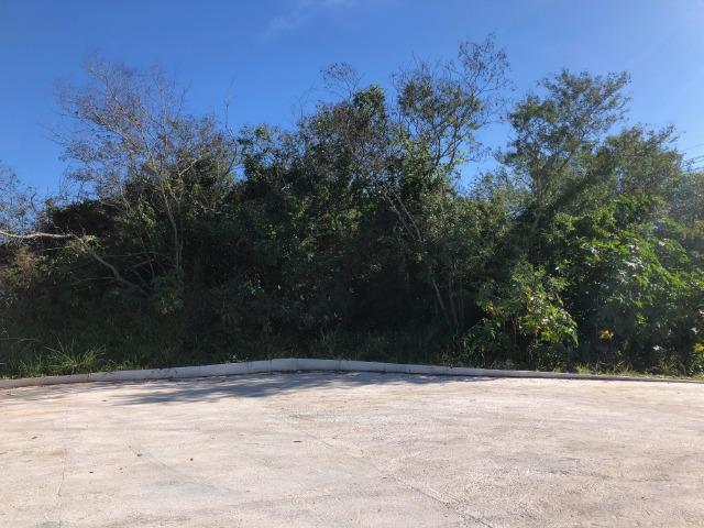 Terreno comercial - Foto 2