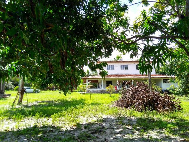 Sitio ótimo para morar e produzir ! - Foto 15
