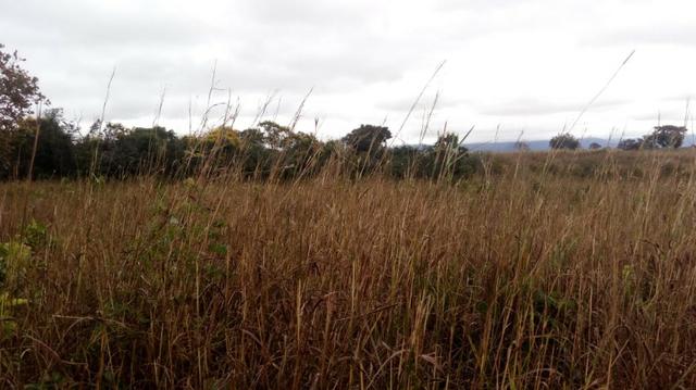 Sitio na Região de Jangada - Foto 6