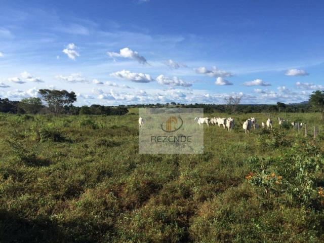 Fazenda com - 88 alqueires - R$ 3.000.000 - Miracema do TO. - Foto 10