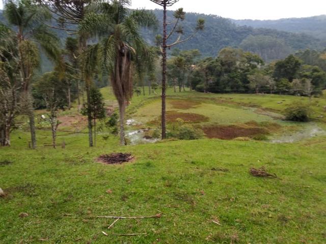 Lindo sítio em Itaiópolis - Foto 4