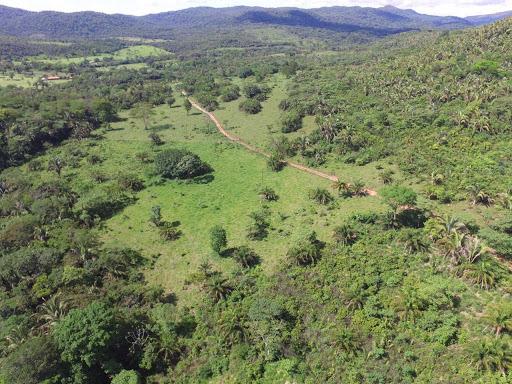 Sítio 26 hectares região da serra são vicente - Foto 12