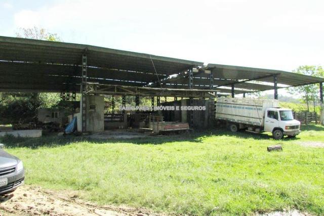 Fabio Paes Imóveis - Fazenda 28 alq - luxo - Oportunidade!!! - Foto 7