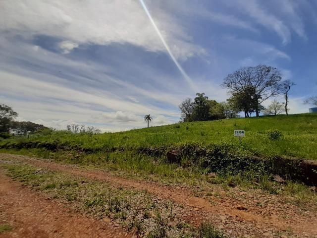 Excelente Chácara próximo a Flores da Cunha - Foto 2