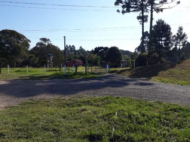 Chácara em Contenda -São José dos `Pinhais - Foto 9