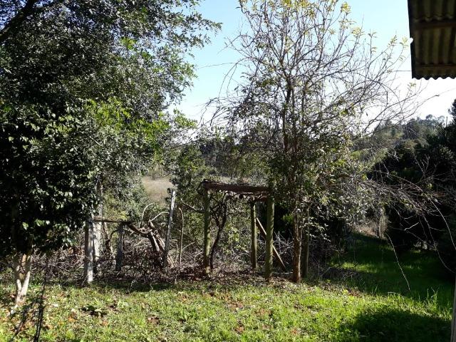Chácara em Contenda -São José dos `Pinhais - Foto 5