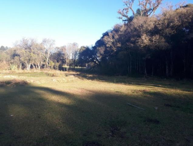 Chácara São José Dos Pinhas - Foto 8