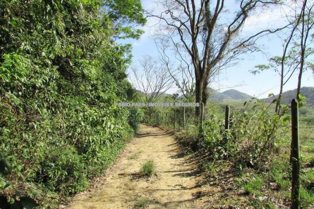Fabio Paes Imóveis - Fazenda 28 alq - luxo - Oportunidade!!! - Foto 19