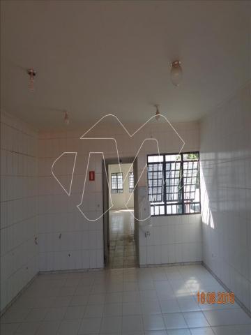 Comercial no Jardim Primavera em Araraquara cod: 31878 - Foto 13
