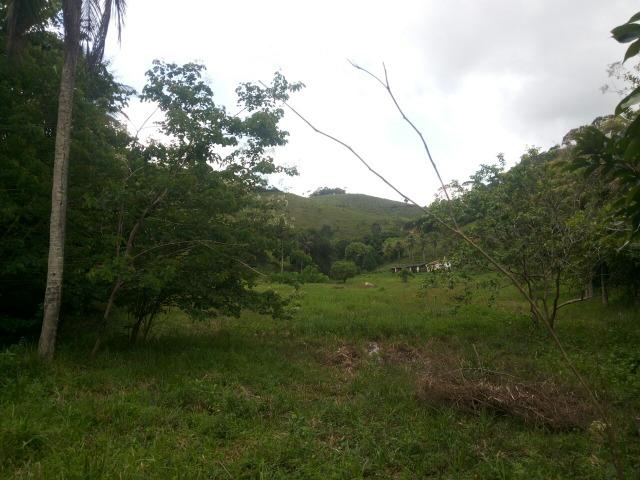 Propriedade rural com 140 HEC - Foto 3