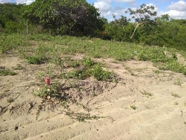 Imbatível terreno na praia de ponta de pedras!! - Foto 7