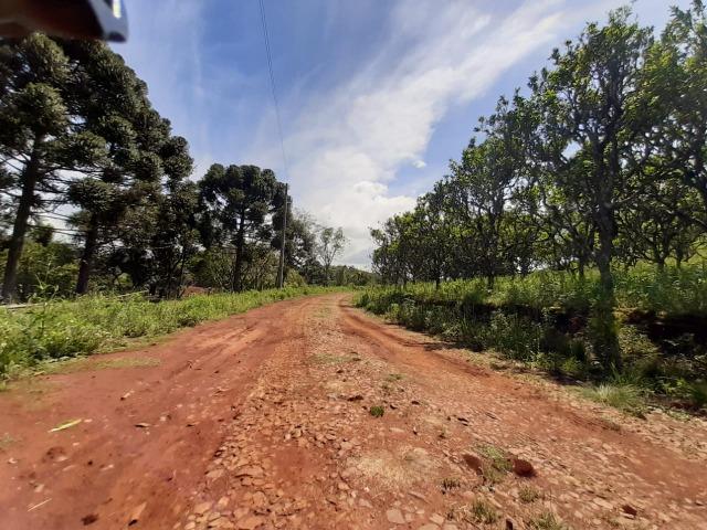 Excelente Chácara próximo a Flores da Cunha - Foto 5