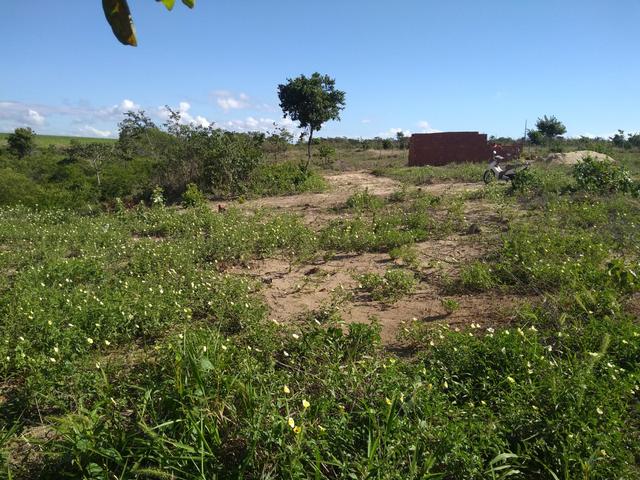 Imbatível terreno na praia de ponta de pedras!! - Foto 6