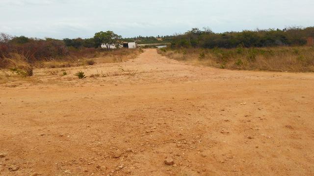 Lote 15x50m na praia da Caponga - Foto 14