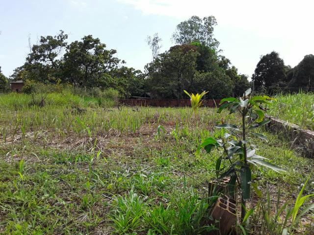 Vende se um terreno - Foto 2
