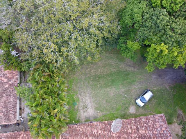 Área em Rio Largo - Foto 2