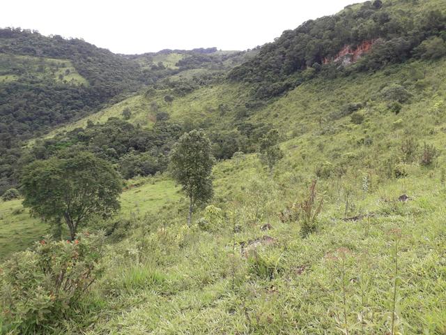 Fazenda - Foto 7