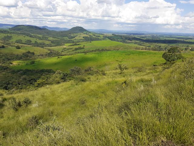 Arrenda -Fazenda Agricultura e Pecuária- - Foto 12