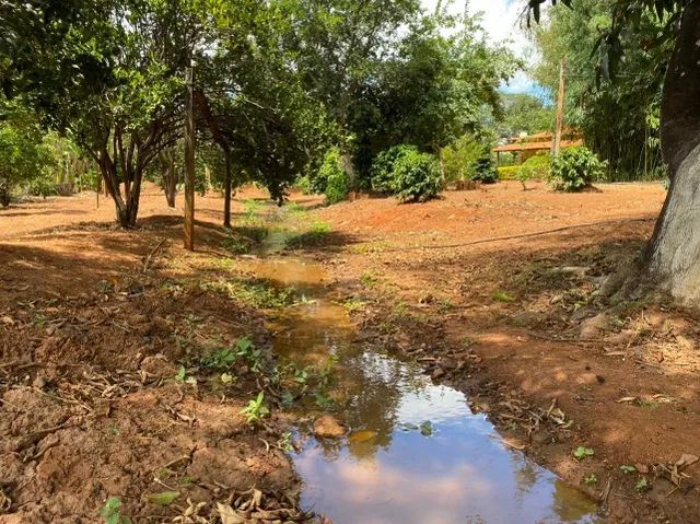Fazenda 17 ha, riacho nos fundos, lagoa de peixes, água por gravidade, Serra do Cipó. - Foto 5