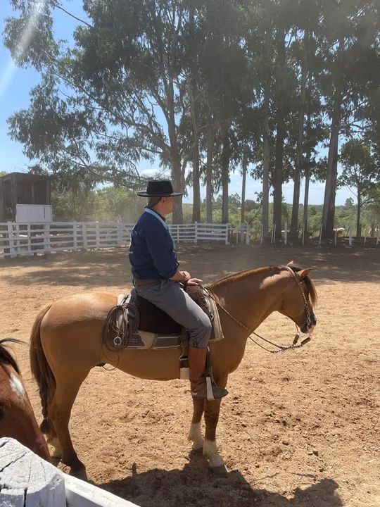 Cavalo inteiro dos diferentes!! - Foto 6