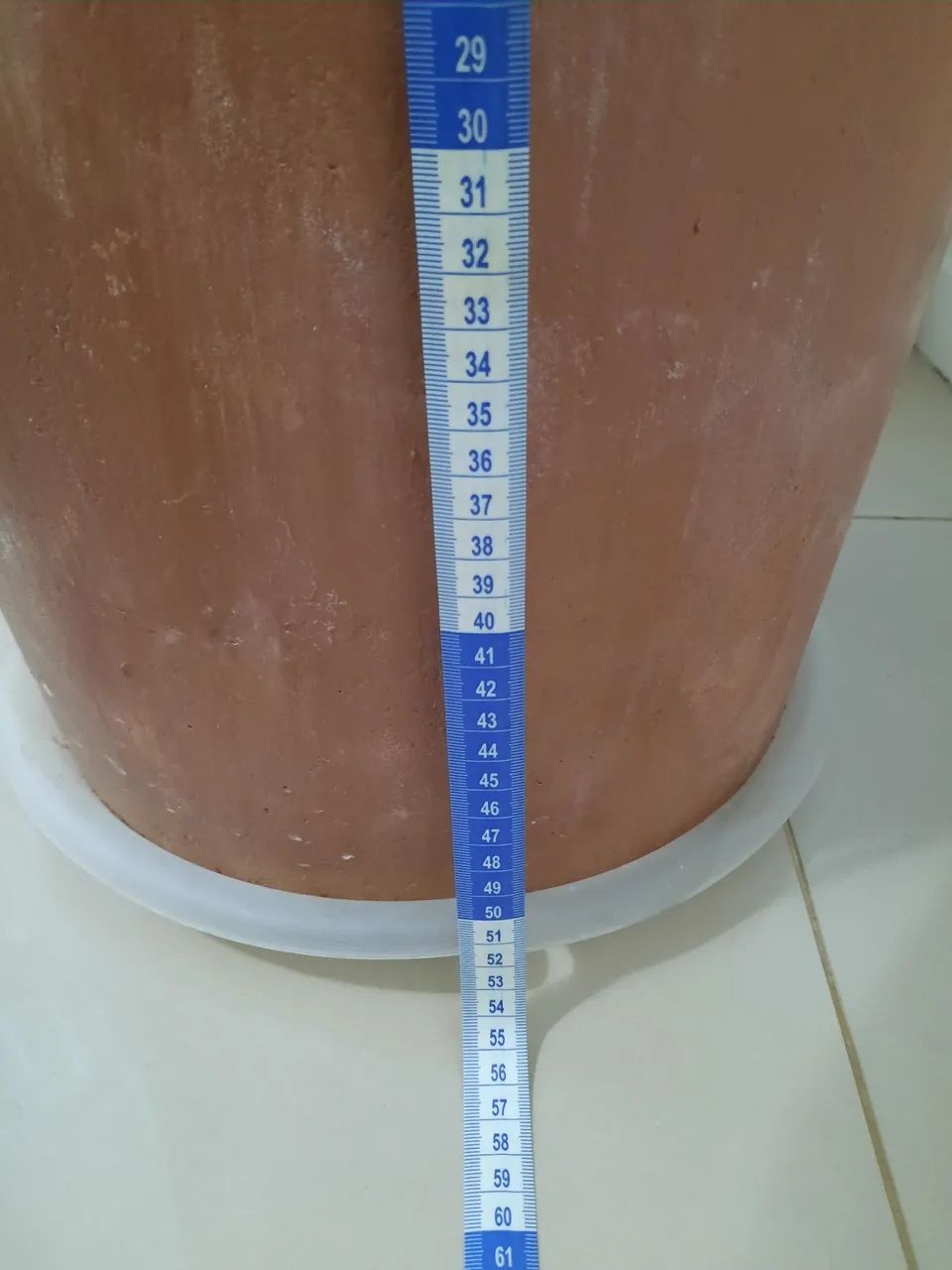 Planta Dieffenbachia em Vaso Decorativo - Foto 3