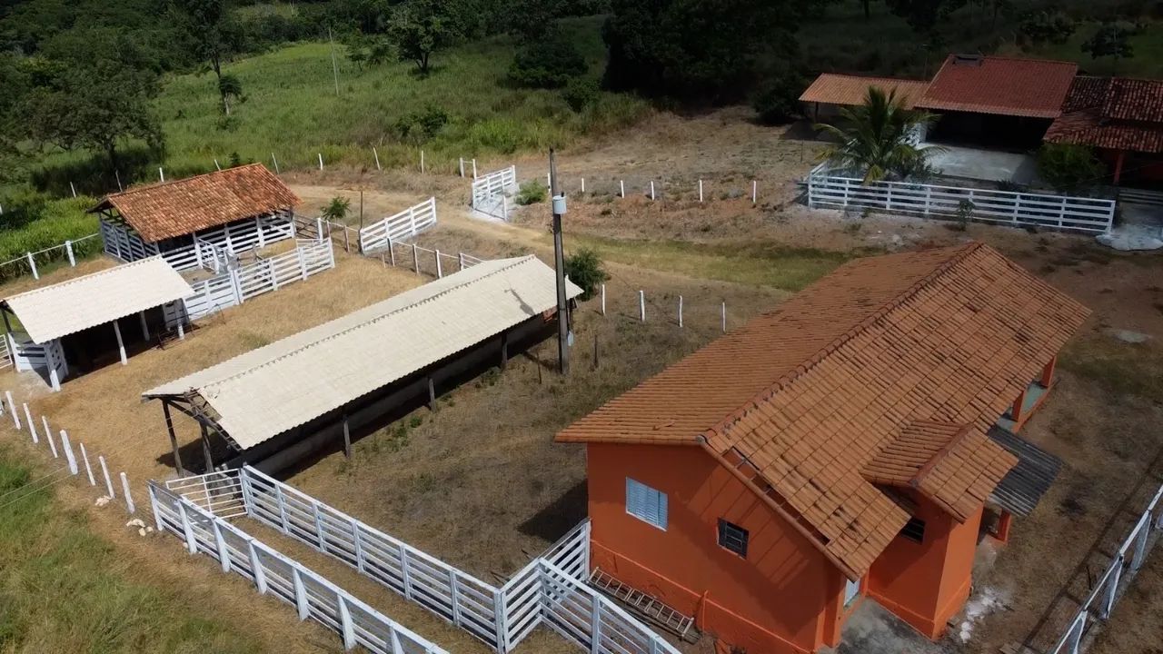 Maravilhosa fazenda 253 hectares rica Água - Foto 6