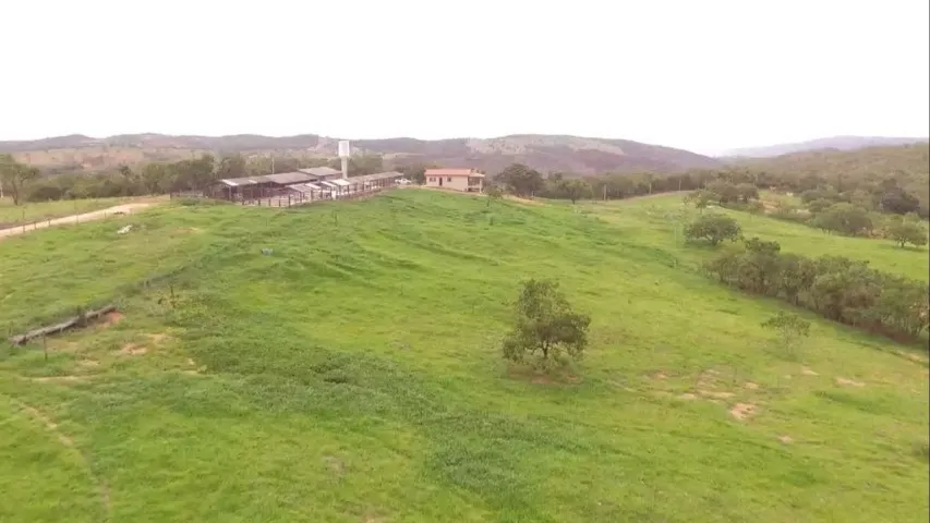Fazenda 220 hectares