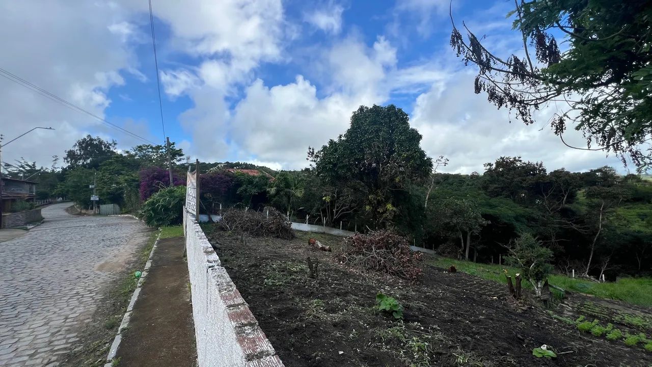 Terreno em chã grande  - Foto 4