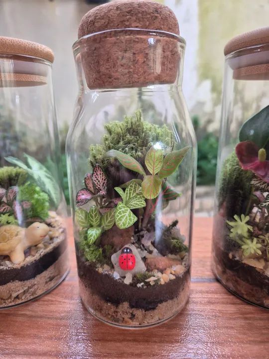 Jardim de Vidro - Miniatura Criativa