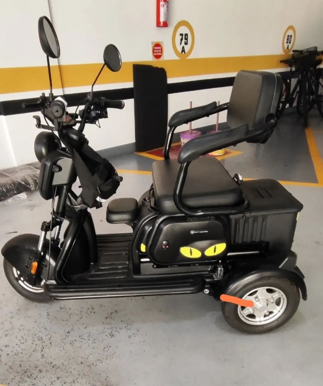 Triciclo elétrico para duas pessoas 1000 w
