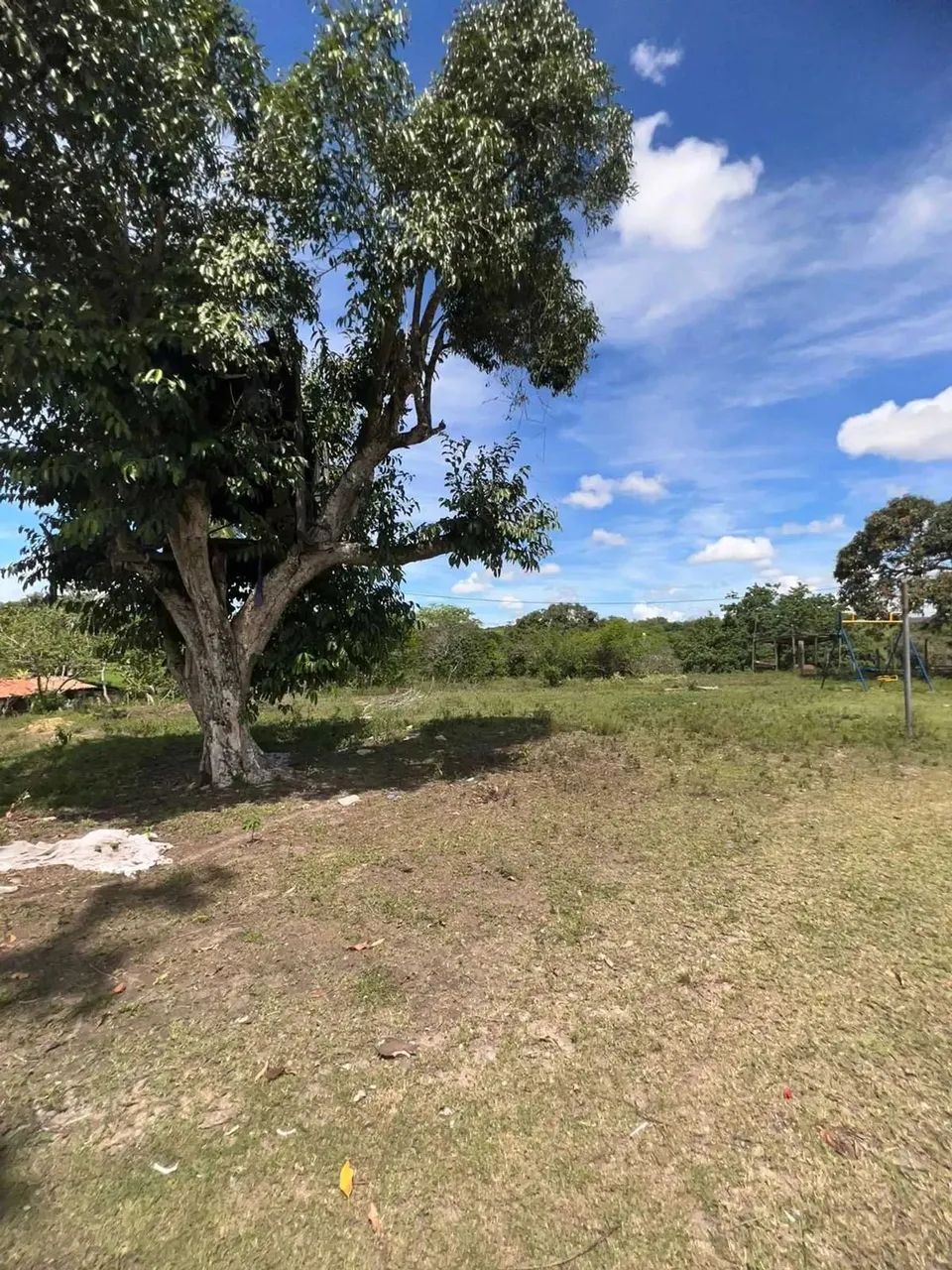 Chácara União - Riachuelo - Se [35] - Foto 10