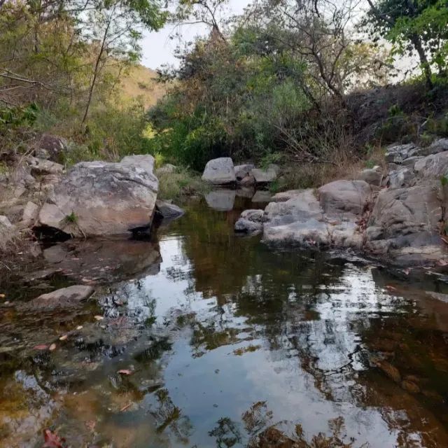 Fazenda em Taquaraçu com Cachoeiras particular. - Foto 5