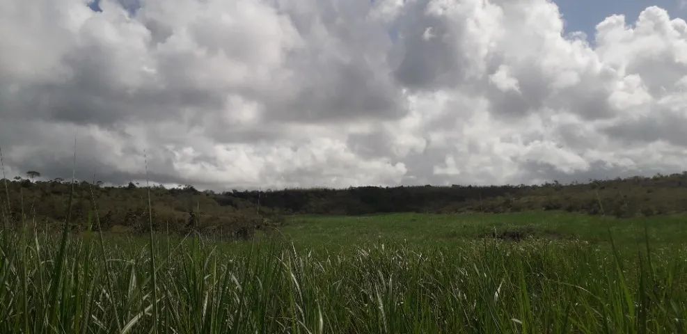 Terreno a venda imperdivel - Foto 3