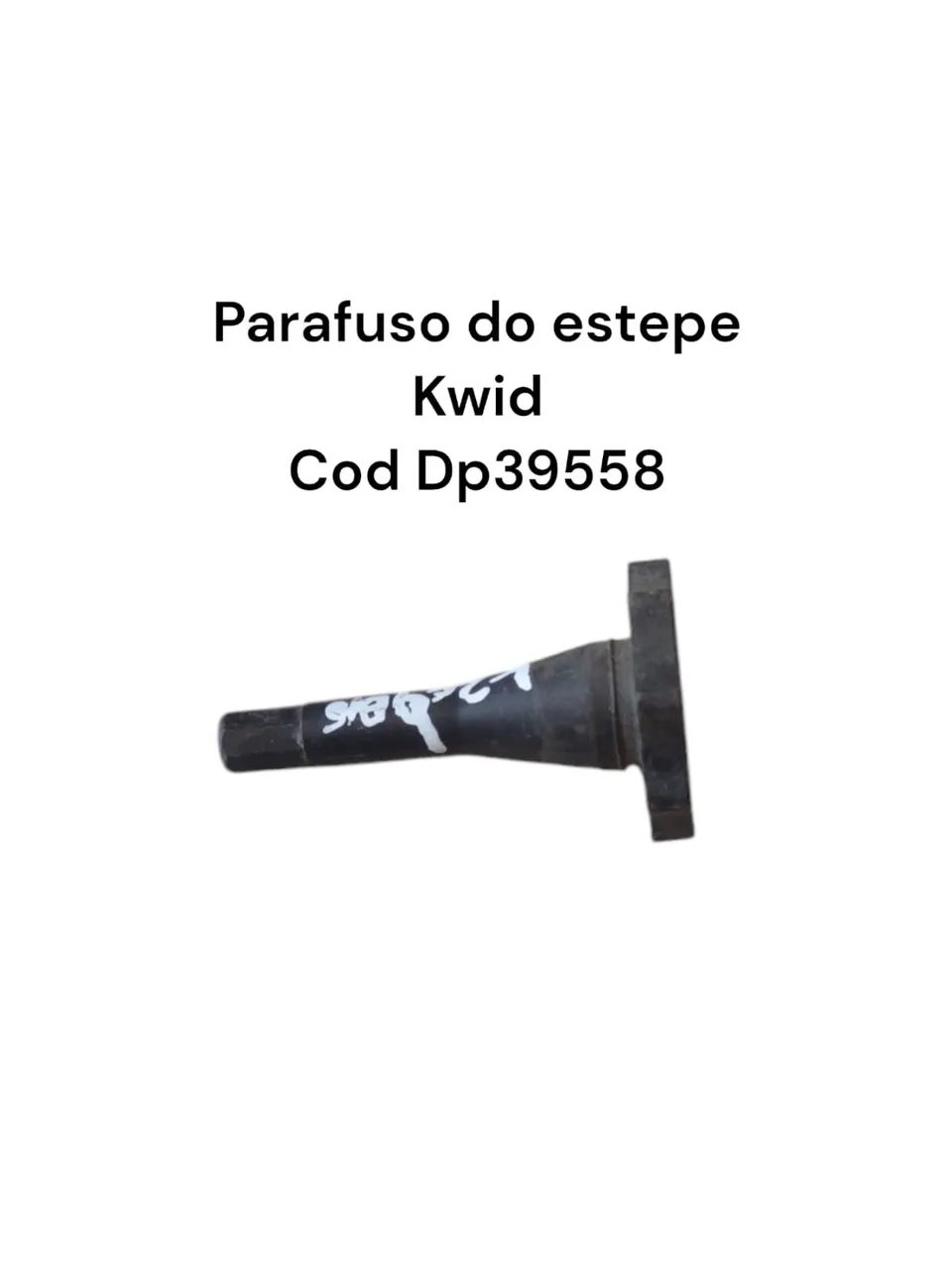 Parafuso Do Estepe Kwid Cod Dp39558