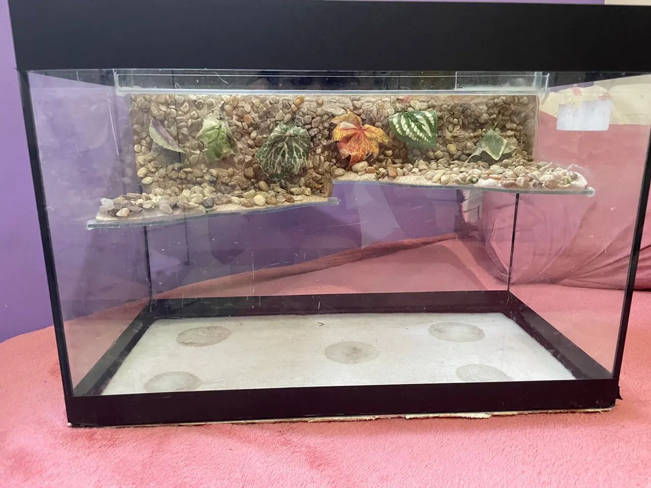 Aquaterrario para tartaruga de vidro 20L com decoração - Foto 2