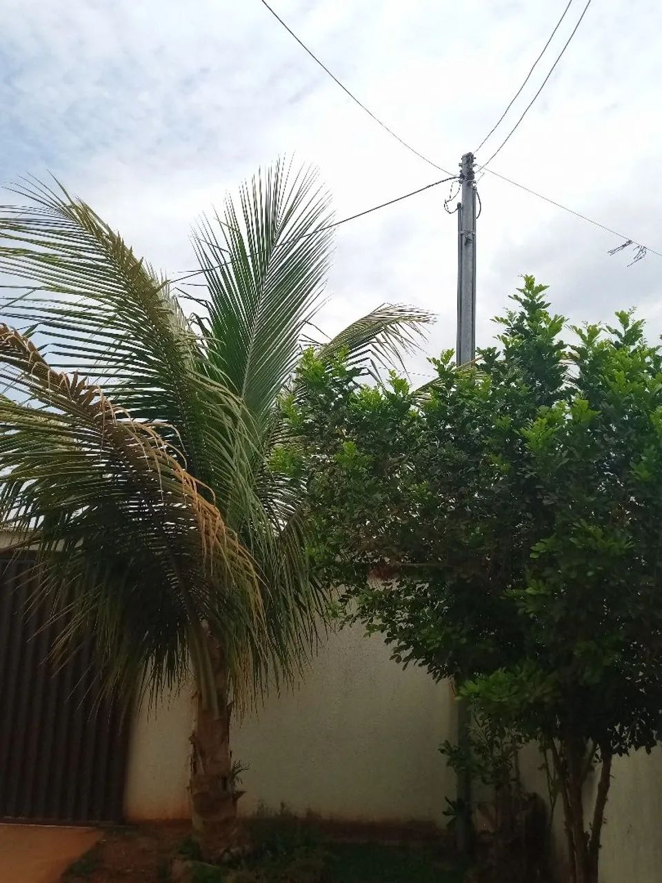 Foto - Aparecida de Goiânia - Expansul