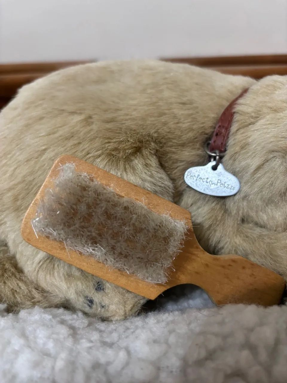 Perfect Petzzz - Modelo Golden Retriever - Foto 4