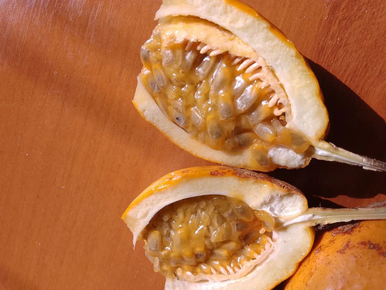 Mudas de maracujá doce amarelo - Foto 2