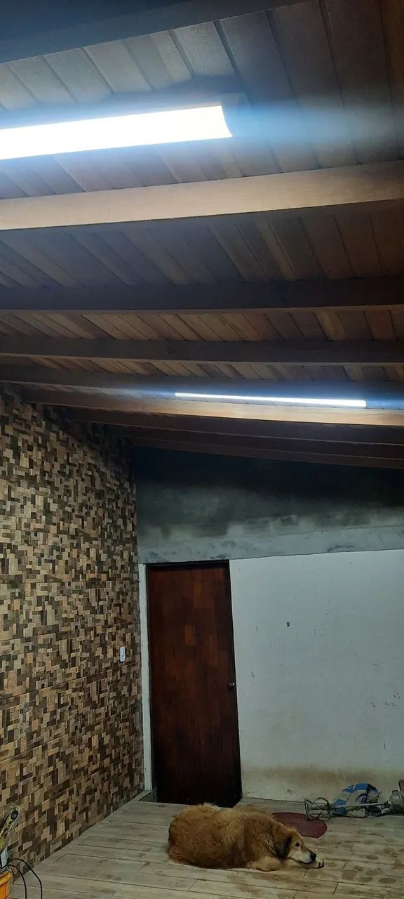 Porta de Madeira Maciça64198287064067121