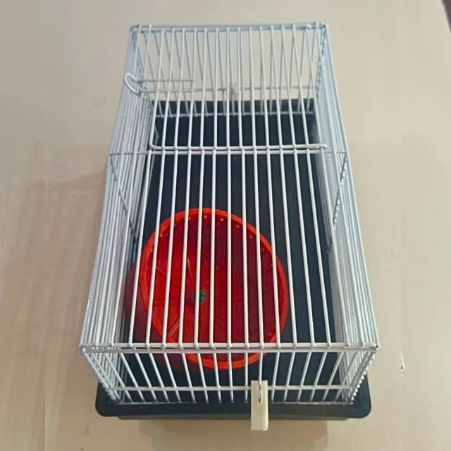 Gaiola Hamster Roborovski Chinês Topolino Minizinha _ PT04 - Foto 2