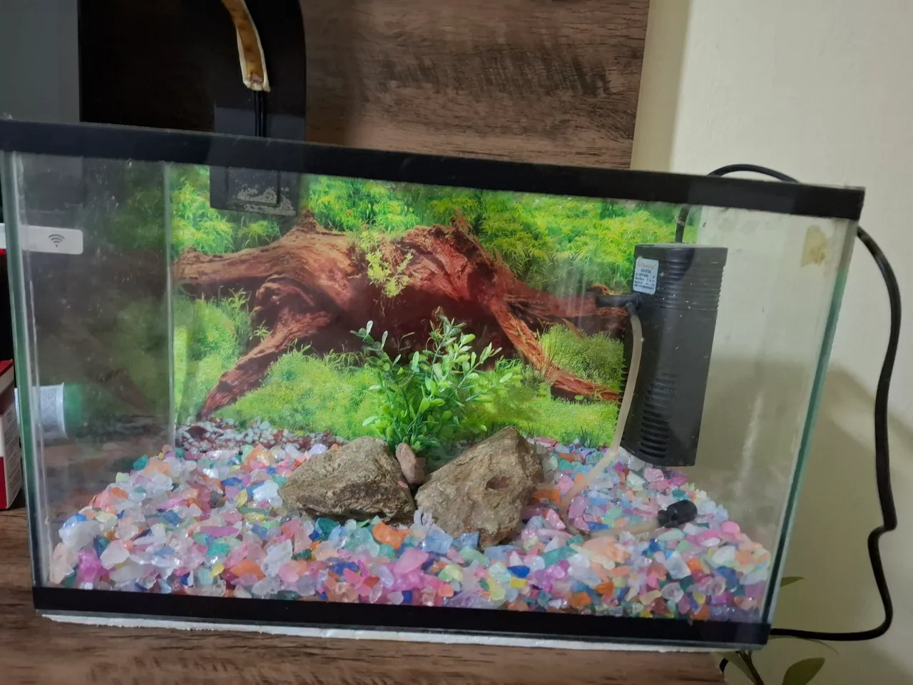 Aquário Decorativo Completo