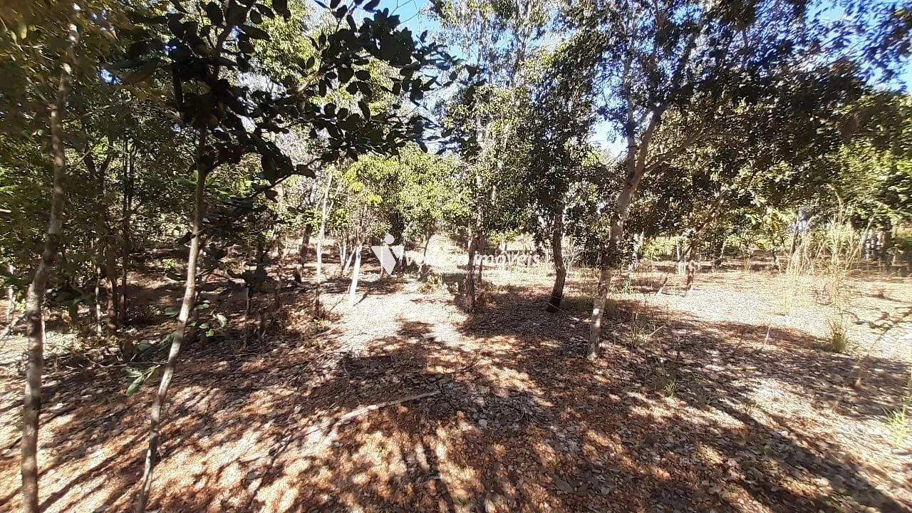 Terreno no povoado nova olinda para venda - Foto 4