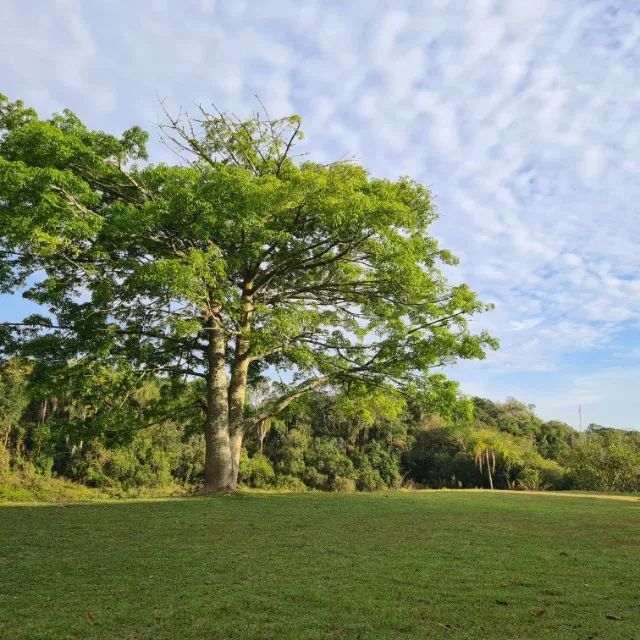 Chácara em Ibiúna Ideal para Sua Família - Foto 15