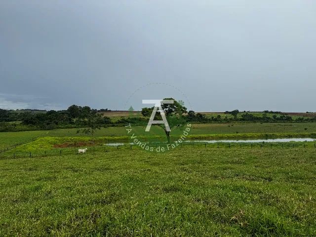 Haras de 3,5 alq em inhumas-GO - Foto 2