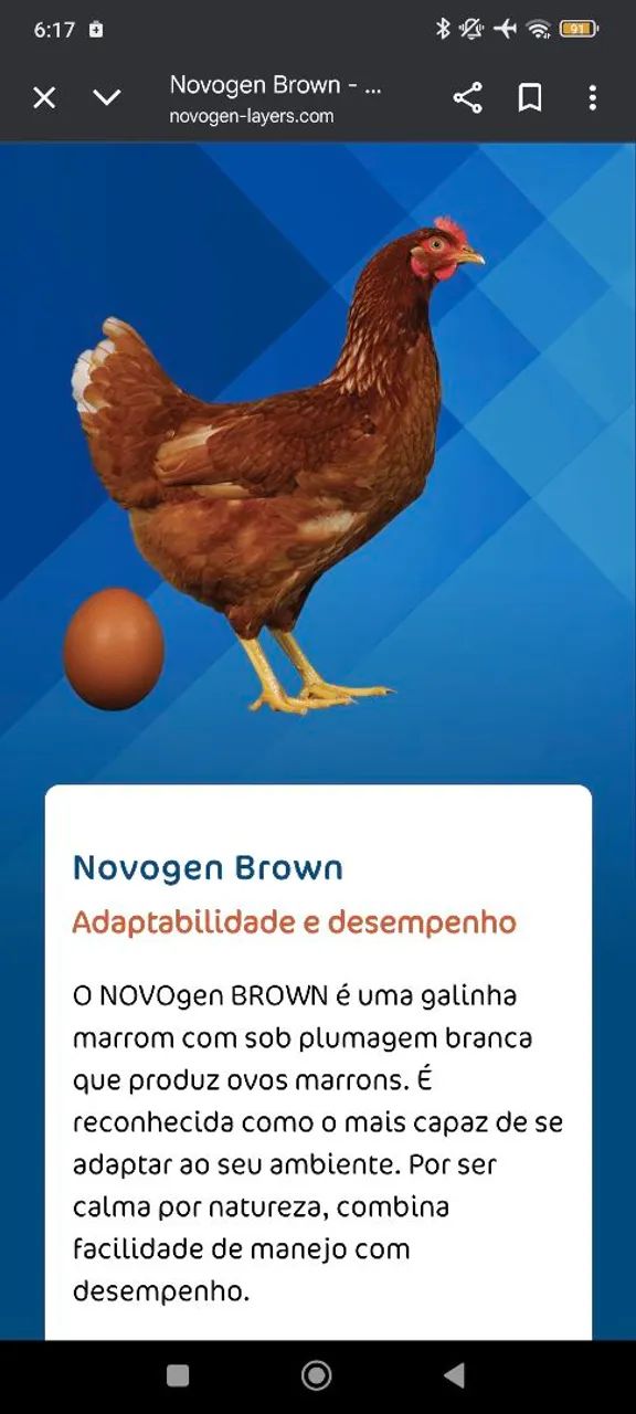 Pintainhas de POSTURA 