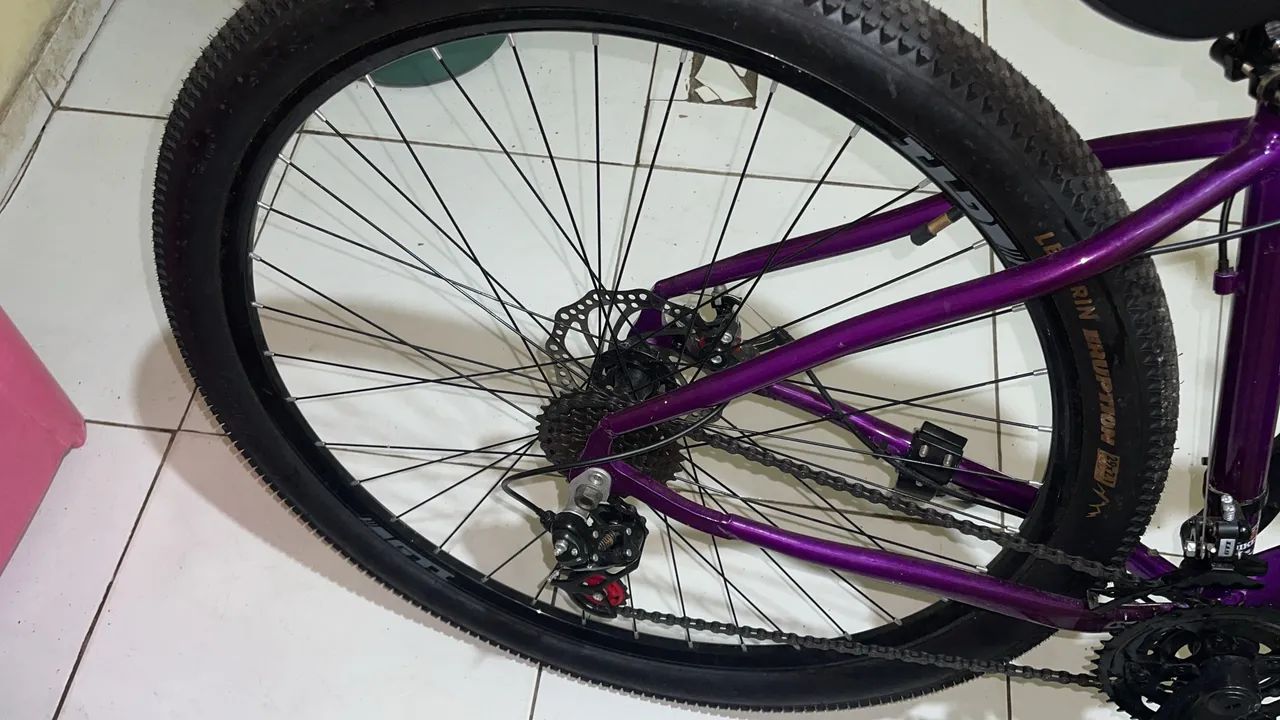 Bicicleta 