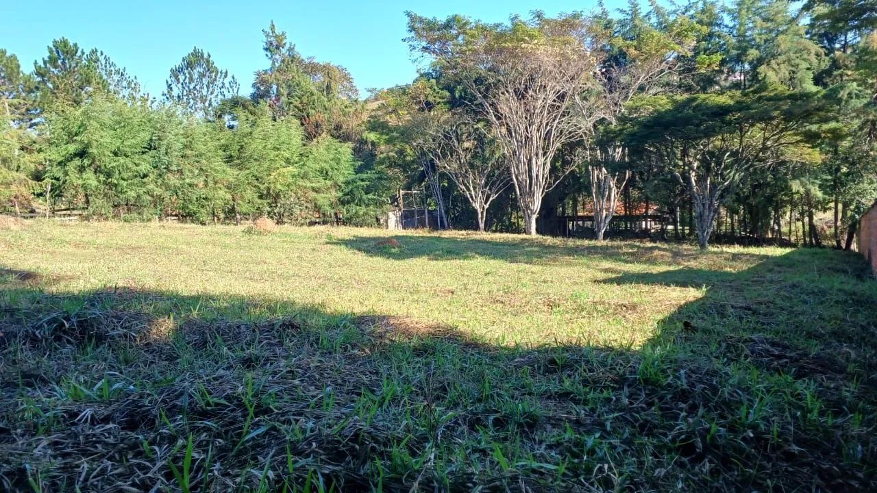 VENDE-SE LOTE!  - Foto 4