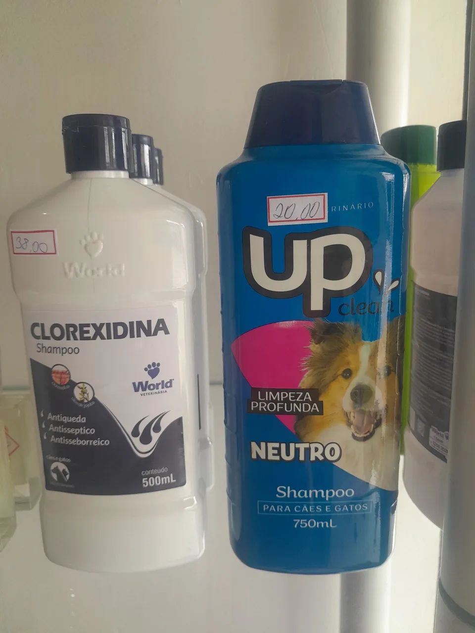 Shampoo pet 
